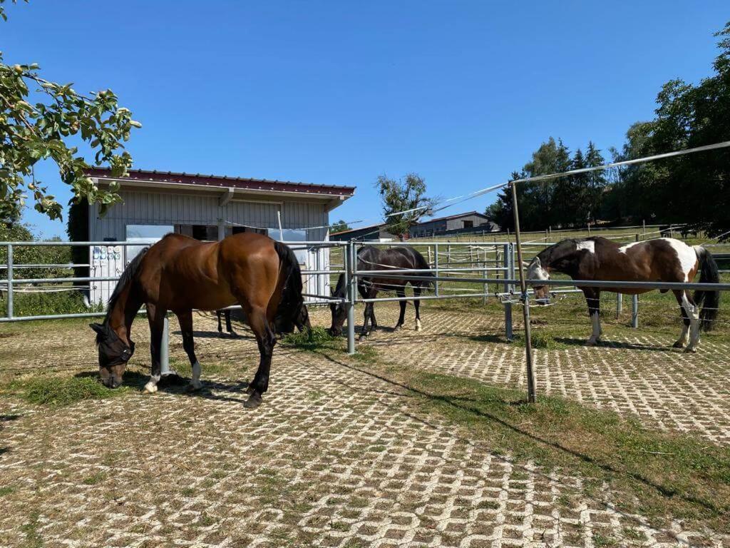 Bei Doerflingers Apartment Dettighofen (Waldshut)